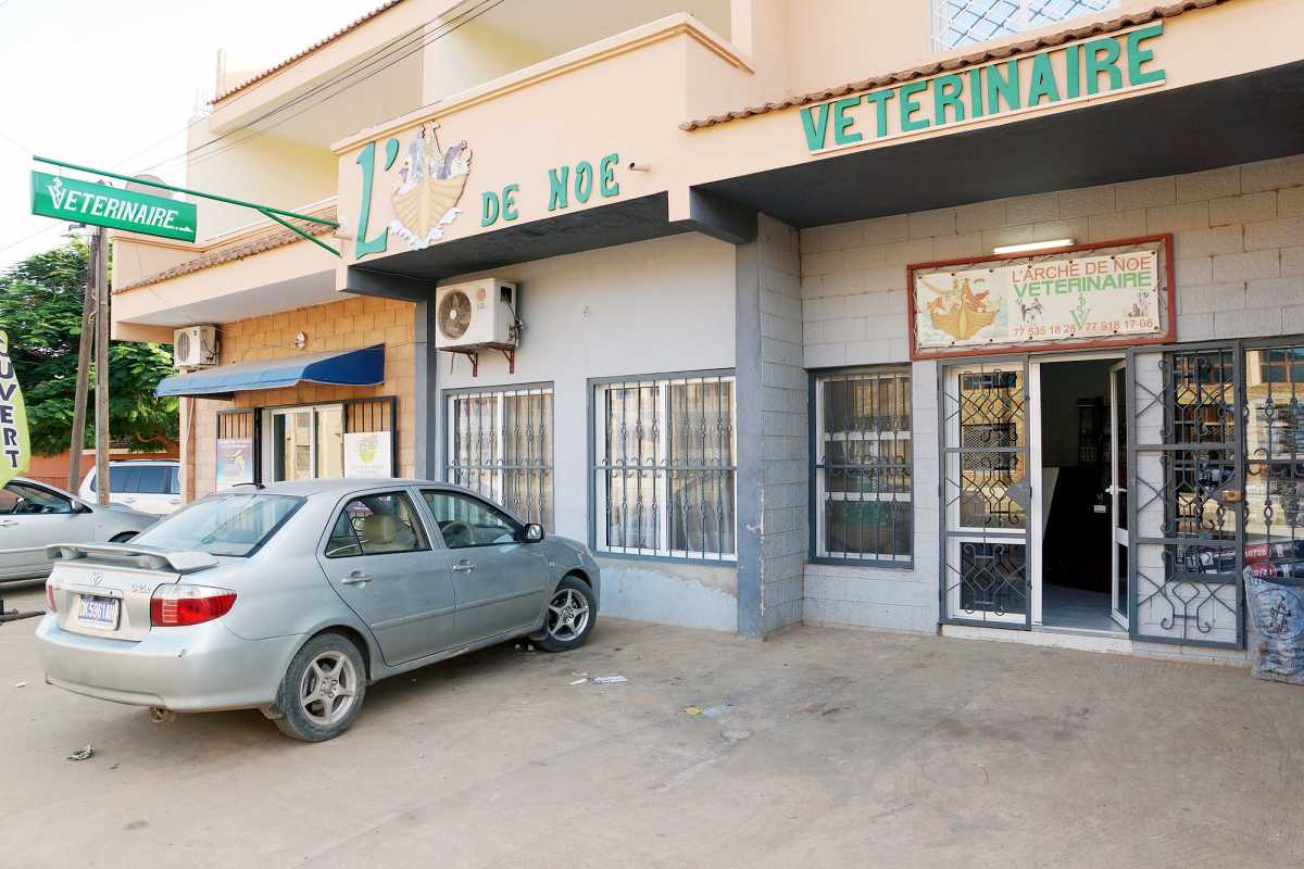 Vétérinaire - Pharmacie - Clinique - Aliments