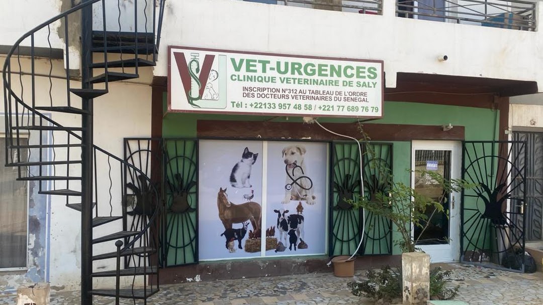Clinique Vétérinaire à Saly.