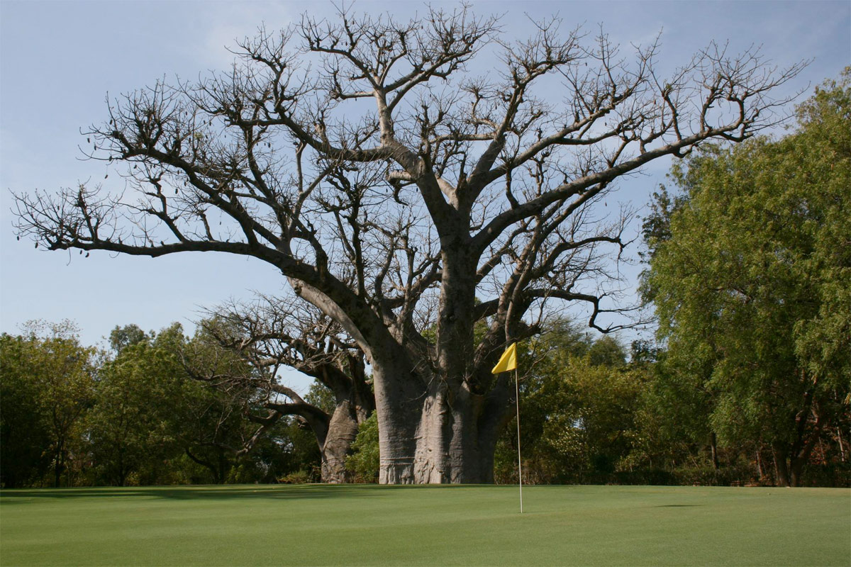 Venez découvrir l'unique Golf 18 trous au pays de la Téranga.