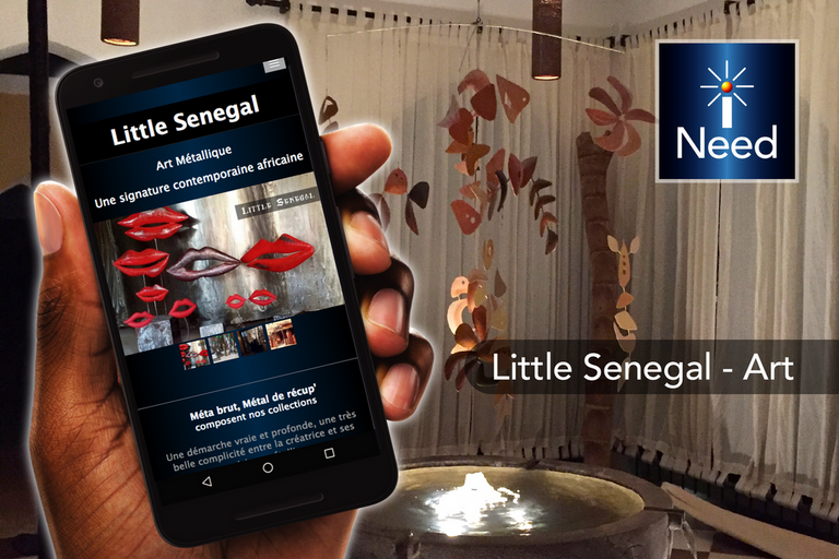 Créateur Art Little Senegal application mobile senegal iNeed