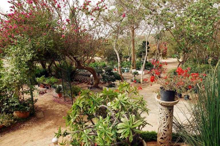 Jardin Concept, à Ngaparou Somone